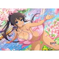 Shinobi Master Senran Kagura New Link B2 Wall Scroll: Homura / Sakura Swimwear thumbnail 2
