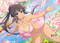 Shinobi Master Senran Kagura New Link B2 Wall Scroll: Homura / Sakura Swimwear thumbnail 3