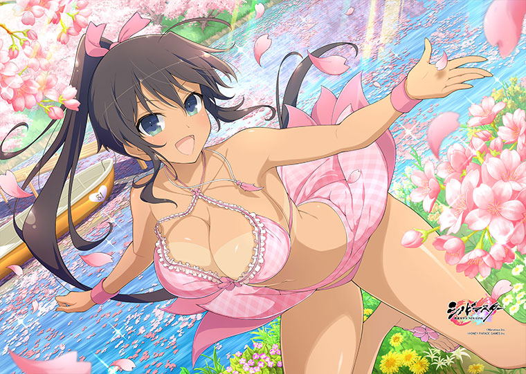 Shinobi Master Senran Kagura New Link B2 Wall Scroll: Homura / Sakura Swimwear image 3