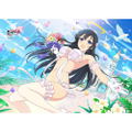 Shinobi Master Senran Kagura New Link B2 Wall Scroll: Ryoki / Wedding thumbnail 2