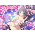Shinobi Master Senran Kagura New Link B2 Wall Scroll: Yumi / Sakura Swimwear thumbnail 2