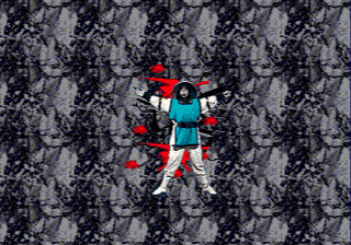Mortal Kombat II: Kyuukyoku Shinken image 13