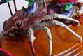 Evangelion Sensibility Rebuild of Evangelion: Evangelion EVA-01 ira (Re-run) thumbnail 9