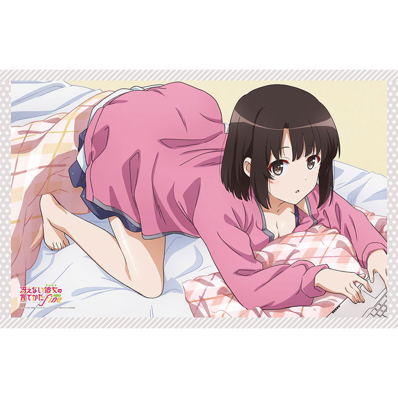 Saenai Heroine no Sodatekata Fine Blanket: Megumi image 1
