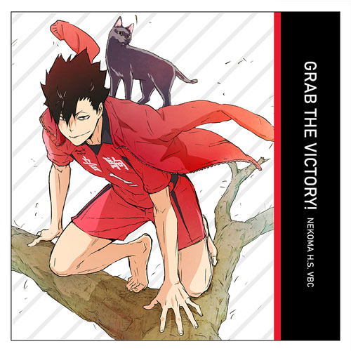 Haikyuu!! To The Top - Tetsuro Kuroo Cushion Cover image 1