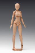 1/12 Scale Plastic Model Kit: Movable Body Female Type (Deluxe) Light Brown thumbnail 3