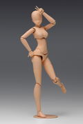 1/12 Scale Plastic Model Kit: Movable Body Female Type (Deluxe) Light Brown thumbnail 6