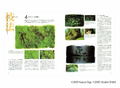 Oga Kazuo Illustration Artbook II - Ghibli The Art Series thumbnail 6