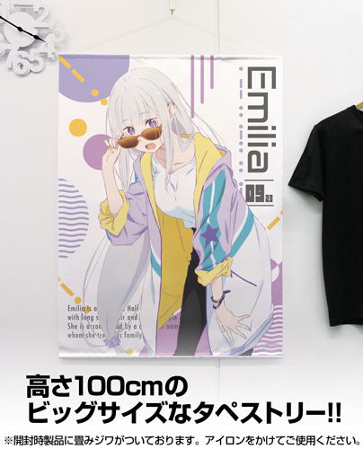 Re:ZERO -Starting Life in Another World- 100cm Wall Scroll: Emilia Street Fashion Ver. (Re-run) image 2