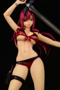 Fairy Tail 1/6 Scale Pre-Painted Figure: Erza Scarlet Swimsuit Gravure_Style Ver. Honoo (Re-run) thumbnail 22