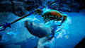 Fight Crab (Multi-Language) thumbnail 8