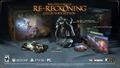 Kingdoms of Amalur: Re-Reckoning [Collector's Edition] thumbnail 1