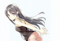 Rascal Does Not Dream Of Bunny Girl Senpai - Mai Sakurajima Room Wear Pillow Cover thumbnail 2