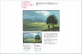 Seiji Yoshida Works And Thorough Technique thumbnail 10