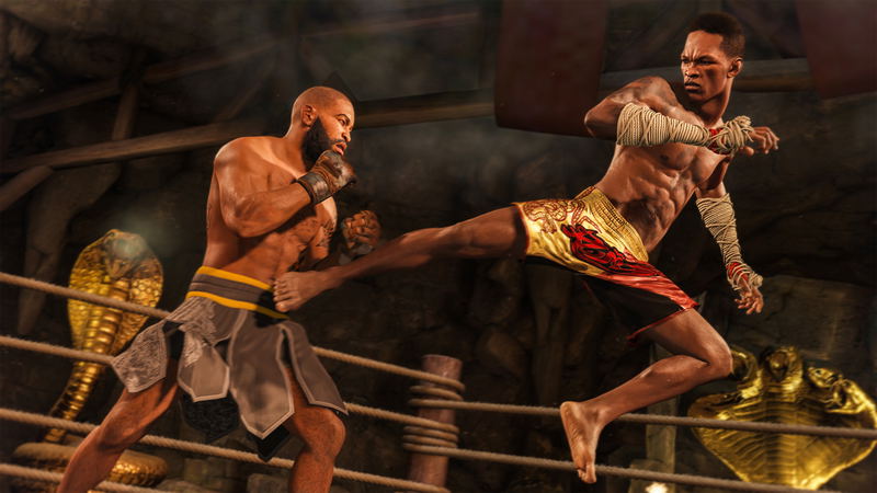 EA Sports UFC 4 image 6