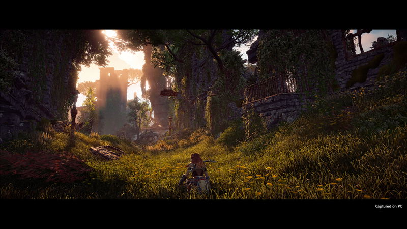 Horizon Zero Dawn (Complete Edition) <span class="ext" style="background-color: #2a475e; color: #FFFFFF;">STEAM</span> <span class="ext ext_digital">digital</span> image 6