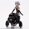 Maruttoys 1/12 Scale Plastic Model Kit: Tamotu [Black Ver.] thumbnail 18