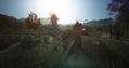 Black Desert [Prestige Edition] thumbnail 9