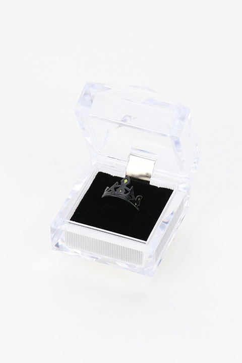Fate/Grand Order - Absolute Demonic Front: Babylonia - Ereshkigal Ring Necklace image 7