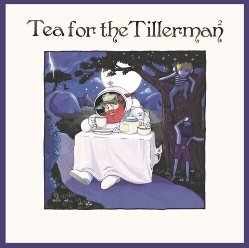 Tea For The Tillerman² — Import Game Deal