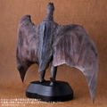 Favorite Sculptors Line Toho 30cm Series Rodan: Rodan (1956) thumbnail 5