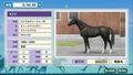 Derby Stallion thumbnail 10