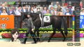 Derby Stallion thumbnail 2