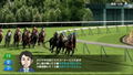 Derby Stallion thumbnail 7