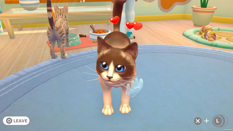 My Universe: Pet Clinic Cats & Dogs image 13
