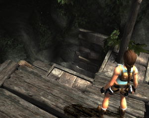 Tomb Raider: Anniversary_