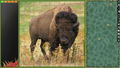 Pixel Puzzles Ultimate: Puzzle Pack Montana (DLC) <span class="ext" style="background-color: #B0000F; color: #FFFFFF;">DLC</span> <span class="ext" style="background-color: #2a475e; color: #FFFFFF;">STEAM</span> <span class="ext ext_digital">digital</span> thumbnail 4