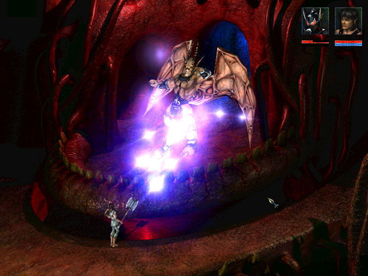 Beyond Divinity <span class="ext" style="background-color: #581c6c; color: #FFFFFF;">GOG.com</span> <span class="ext ext_digital">digital</span> image 6