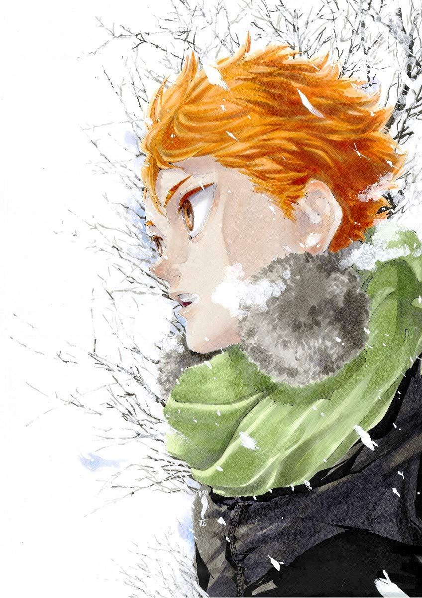 Haikyu Complete Illustration Book End And Beginning