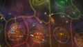 Space Pirates And Zombies 2 <span class="ext" style="background-color: #2a475e; color: #FFFFFF;">STEAM</span> <span class="ext ext_digital">digital</span> thumbnail 5