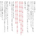 Steins; Gate - Suzuha's Letter T-shirt Vanilla White (L Size) thumbnail 3