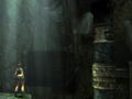 Tomb Raider: Legend <span class="ext" style="background-color: #2a475e; color: #FFFFFF;">STEAM</span> <span class="ext ext_digital">digital</span> thumbnail 6