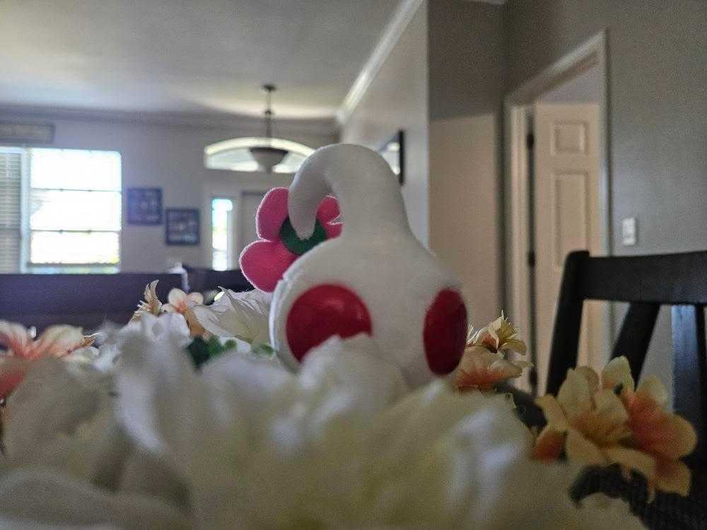 review img