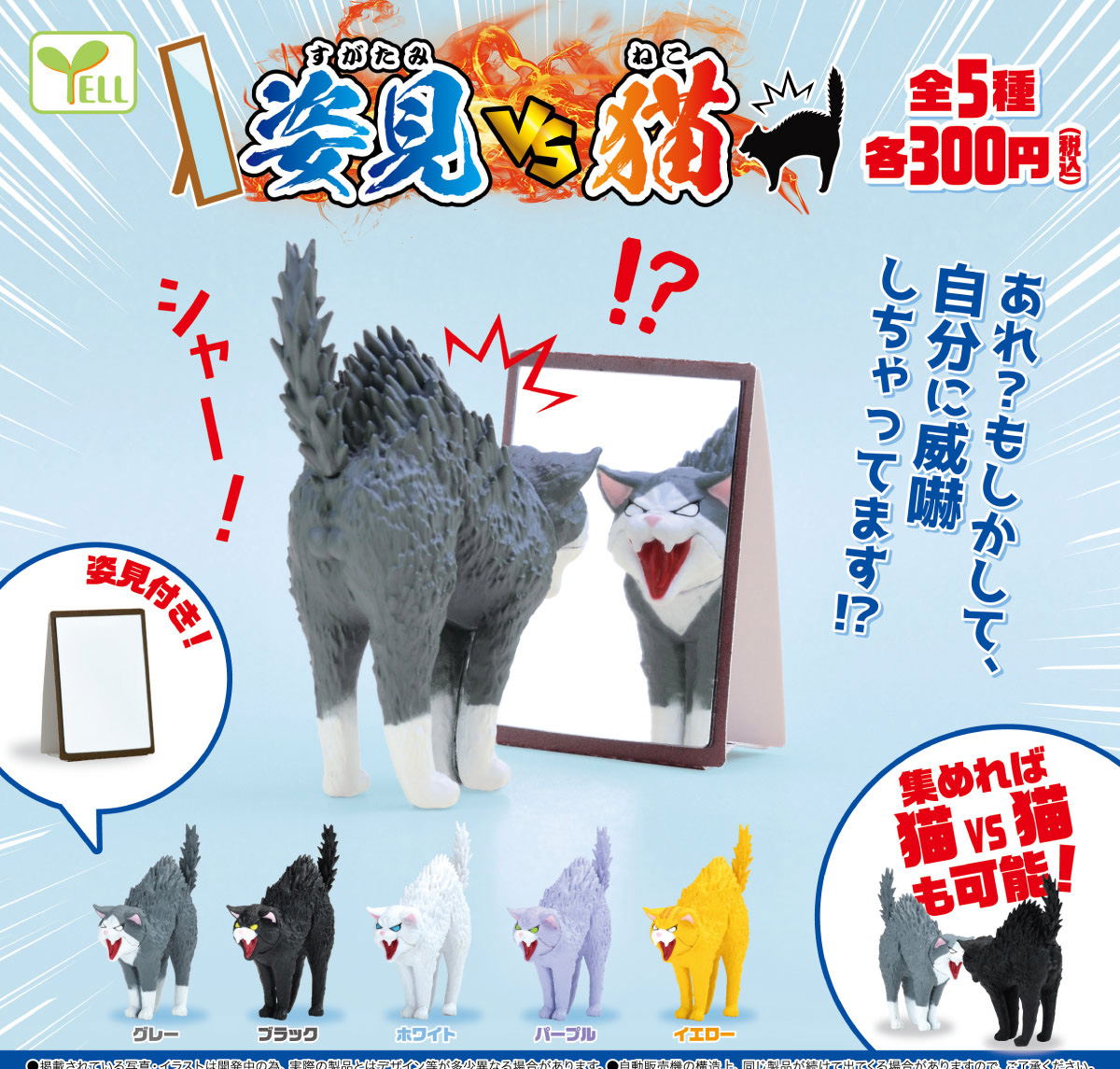 Full Length Mirror Vs Cat Full Length Mirror Vs Cat