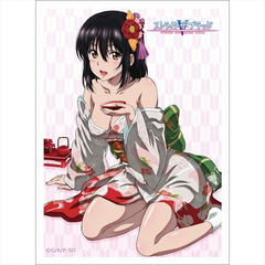 Strike The Blood Sleeve: Yukina / Kimono Curtain Damashii Strike The Blood Sleeve: Yukina / Kimono Curtain Damashii