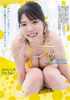 Aoi Fujino Vol. 2 Trading Card Hits 