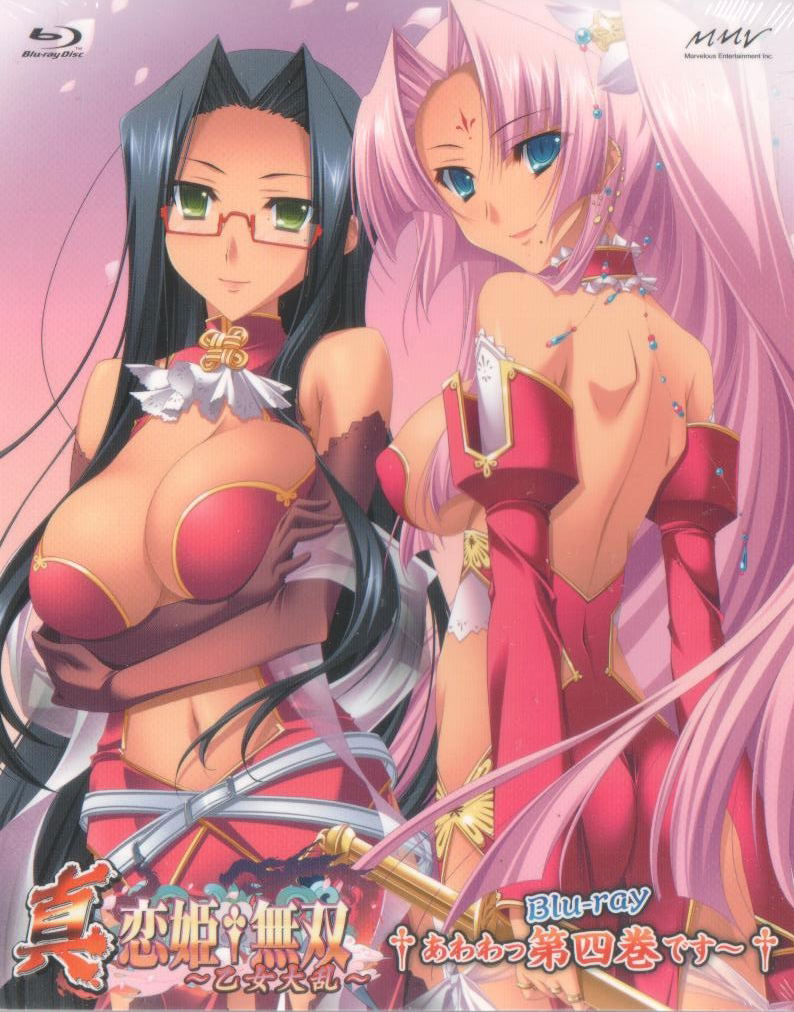 Shin Koihime Muso Otome Tairan Vol 4 Limited Edition