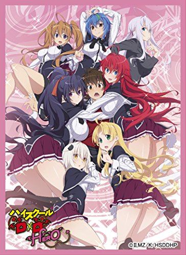 HIGH SCHOOL DXD HERO CHARA SLEEVE COLLECTION MATTE SERIES NO. MT495 Movic