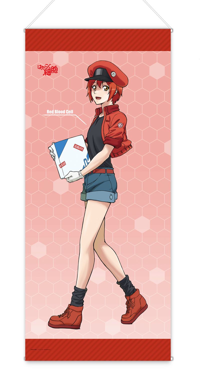 CELLS AT WORK! BIG WALL SCROLL: RED BLOOD CELL Chara-Ani