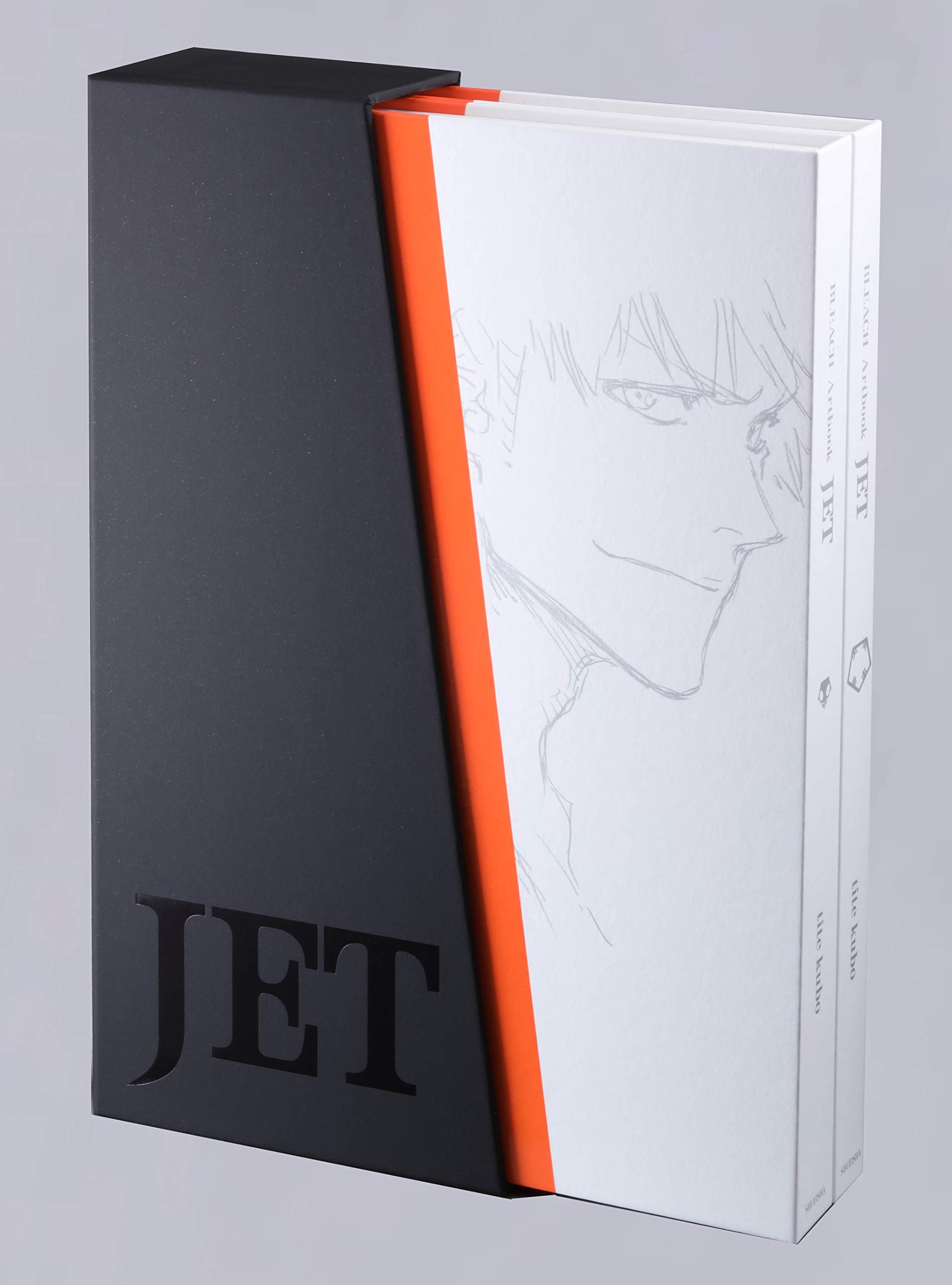 Bleach Illustrations Book Jet