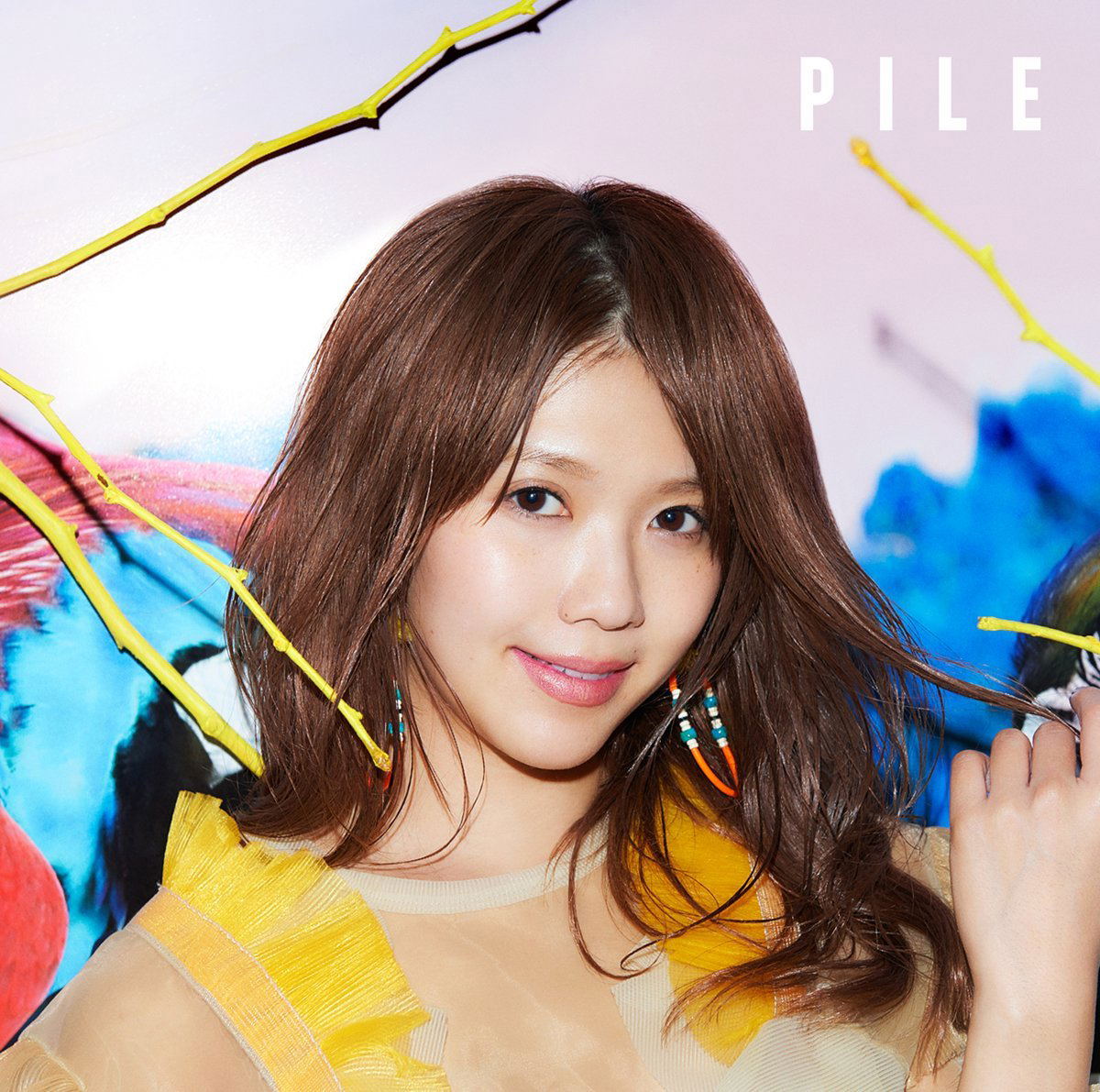 pile (pile)