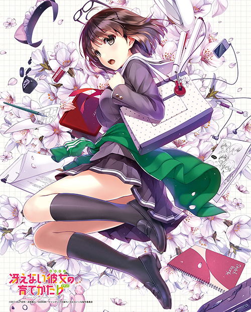 Saekano: How To Raise A Boring Girlfriend Flat Canvas Art: Megumi Kato