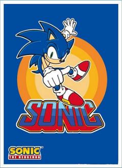 Sonic The Hedgehog Character Sleeve: Retro Arcade Sonic EN-1193 Ensky 